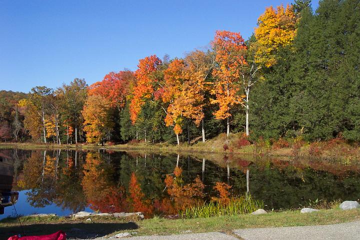 fall 040.jpg
